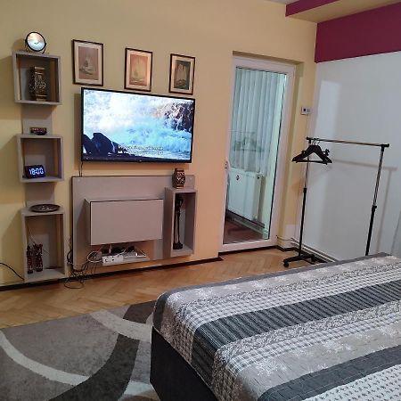Dambu Studio Apartment Târgu-Mureş Exterior foto