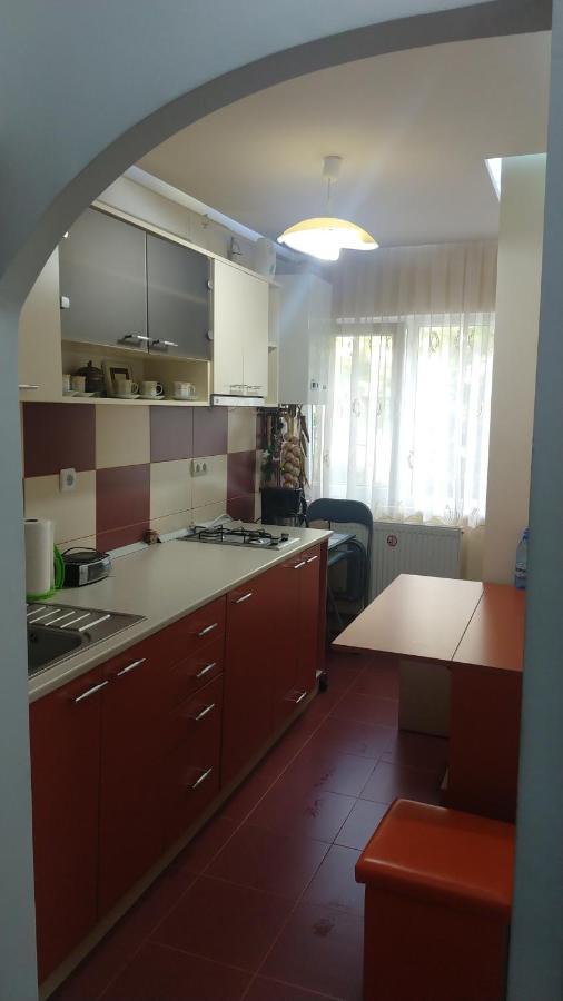 Dambu Studio Apartment Târgu-Mureş Exterior foto